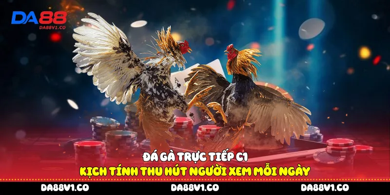 Đá gà trực tiếp C1