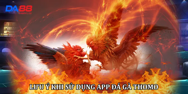 Lưu ý khi sử dụng app đá gà thomo