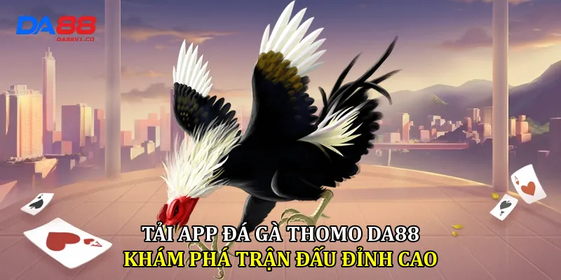 Tải App Đá Gà Thomo